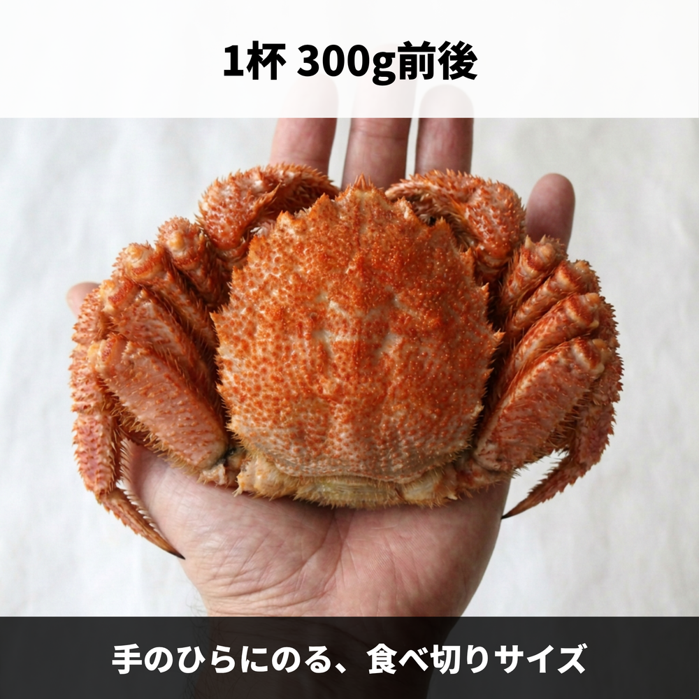 北海道産 ボイル毛蟹 3杯セット(1杯300g前後)