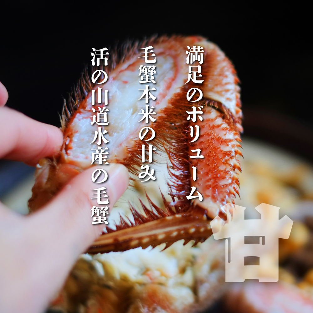 [超特大]ボイル冷凍 毛蟹(1kg前後)