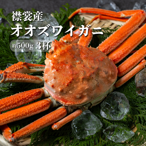 【極旨】襟裳産オオズワイガニ 3杯セット（計1.5kg前後）